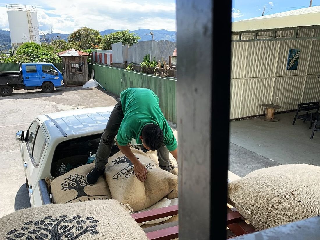 Torre de sacos de exportación Villa Alba Coffee en bodega